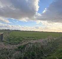 Grundstück in Hamminkeln 179.000,00 € 23862 m²