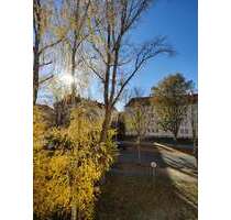 Wohnung zum Mieten in Zwickau 270,00 € 42 m²