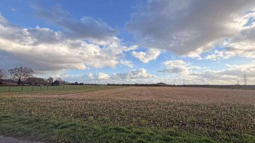 Foto - Grundstück in Hamminkeln 199.000,00 € 19032 m²