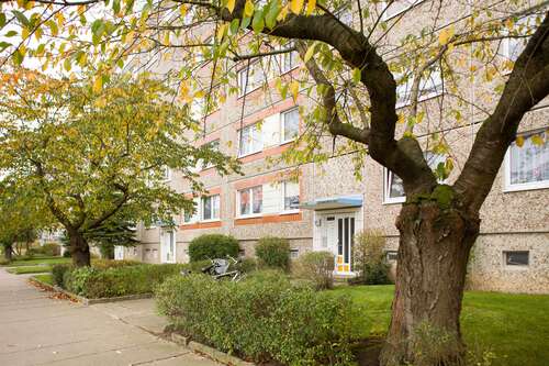 Foto - Wohnung zum Mieten in Neubrandenburg 313,00 € 62.93 m²