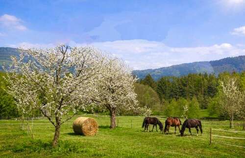 Foto - Haus zum Kaufen in Bernried 850.000,00 € 162 m²