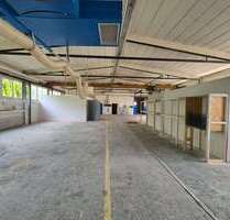 Halle in Deizisau 2.950,00 € 346 m²
