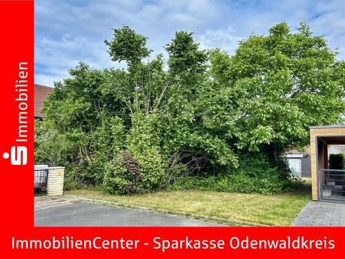 Foto - Grundstück zu verkaufen in Michelstadt 149.000,00 € 576 m²