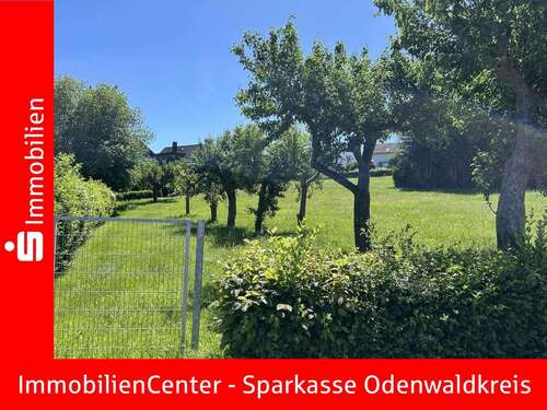 Foto - Grundstück zu verkaufen in Erbach 168.350,00 € 910 m²