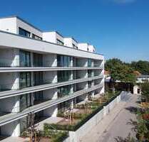 Wohnung zum Mieten in Dresden 760,00 € 53.86 m²