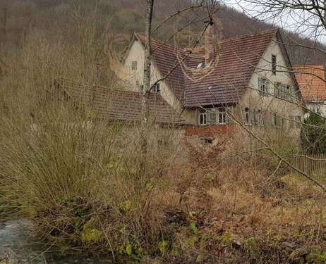 Foto - Grundstück zu verkaufen in Lenningen Schlattstall 375.000,00 € 10944 m²