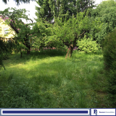 Foto - Grundstück in Tribsees 149.000,00 € 12676 m²