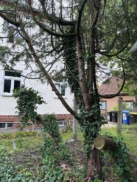 Foto - Haus zum Kaufen in Berlin Mahlsdorf-Süd 850.000,00 € 281 m²