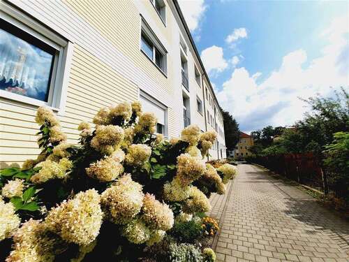 Foto - Wohnung zum Mieten in Lauchhammer 387,00 € 64.52 m²