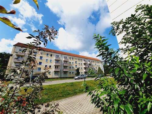Foto - Wohnung zum Mieten in Lauchhammer 250,00 € 49.1 m²