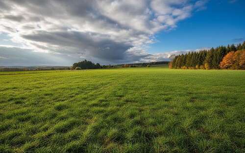 Foto - Spezialgewerbe in Rehau 5.800,00 € 4260 m²