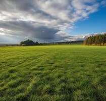 Spezialgewerbe in Rehau 5.800,00 € 4260 m²