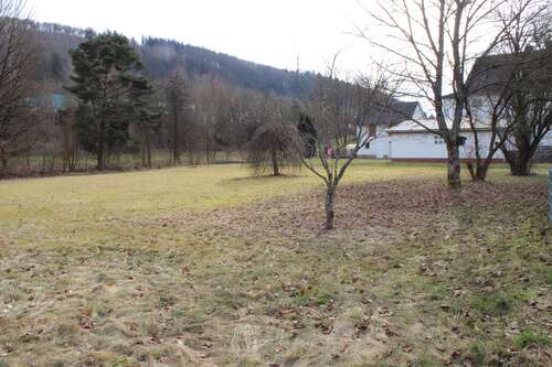 Foto - Grundstück zu verkaufen in Angelburg-Ortsteil 48.500,00 € 899 m²