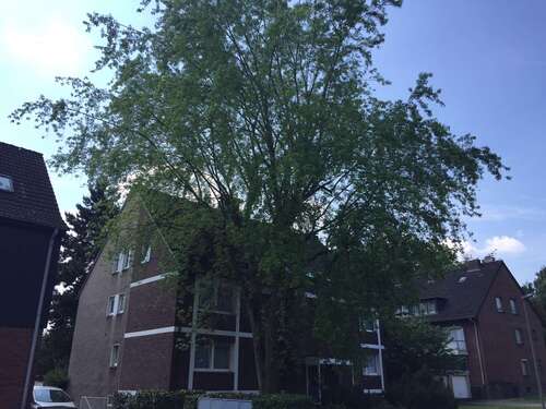 Foto - Wohnung zum Mieten in Herne 250,00 € 25 m²