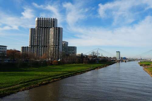 Foto - Wohnung zum Mieten in Mannheim 490,00 € 31 m²