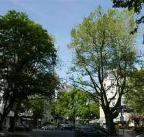 Wohnung zum Mieten in Berlin 4.900,00 € 242.06 m²