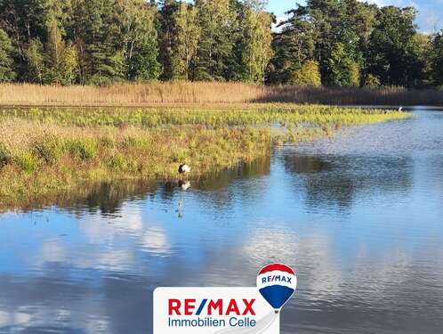 Foto - Grundstück zu verkaufen in Burgwedel 99.000,00 € 1200 m²