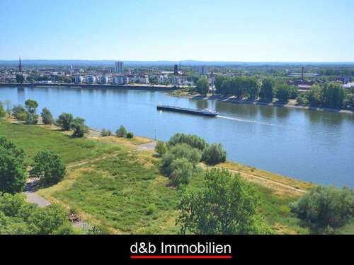 Foto - Wohnung zum Kaufen in Köln 289.000,00 € 66.15 m²