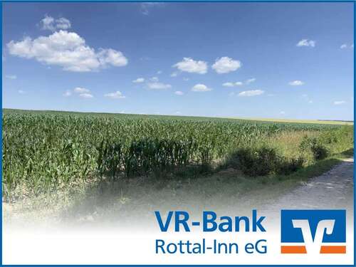 Foto - Grundstück in Dirnaich 262.548,00 € 19448 m²