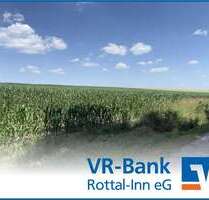 Grundstück in Dirnaich 262.548,00 € 19448 m²