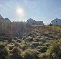 Grundstück zu verkaufen in Langenlonsheim 288.000,00 € 832 m²