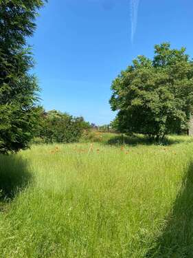 Foto - Haus zum Kaufen in Treuenbrietzen 148.500,00 € 250 m²