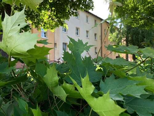 Foto - Wohnung zum Mieten in Rötha 320,00 € 53.25 m²
