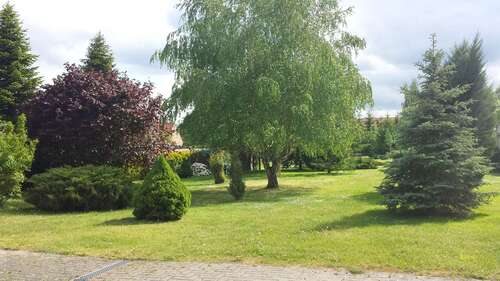 Foto - Wohnung zum Mieten in Kremmen 405,00 € 40.5 m²