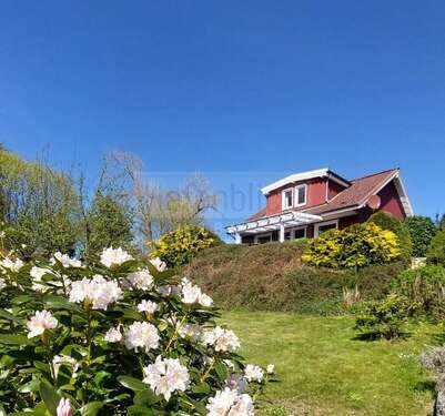 Foto - Haus zum Kaufen in Schönwalde am Bungsberg Mönchneversdorf 319.000,00 € 78 m²