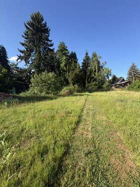 Foto - Grundstück zu verkaufen in Werdau 58.020,00 € 2901 m²