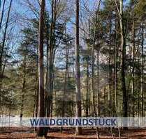 Grundstück zu verkaufen in Auerbach 12.000,00 € 1045 m²