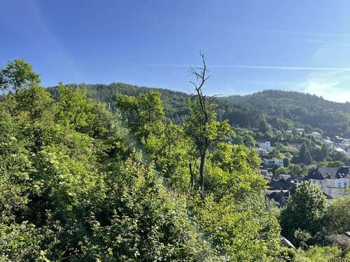 Foto - Grundstück zu verkaufen in Adenau 75.800,00 € 959 m²