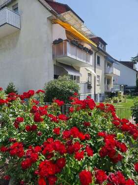 Foto - Wohnung zum Kaufen in Edingen-Neckarhausen 260.000,00 € 76 m²
