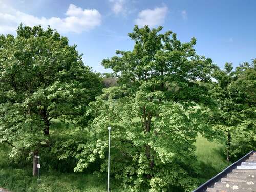 Foto - Wohnung zum Mieten in Krefeld 630,00 € 65 m²