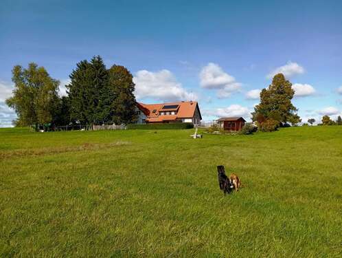 Foto - Haus zum Kaufen in Rötenbach 1.375.000,00 € 390 m²