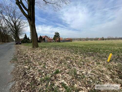 Foto - Grundstück zu verkaufen in Esterwegen 259.900,00 € 4000 m²