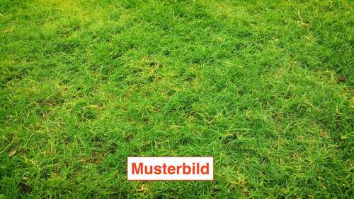 Foto - Grundstück zu verkaufen in Erlangen 515.000,00 € 599 m²