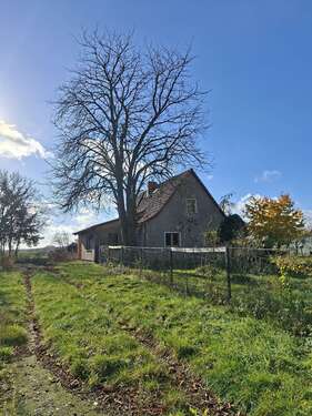 Foto - Haus zum Kaufen in Wiesenaue OT Jahnberge 250.000,00 € 120 m²