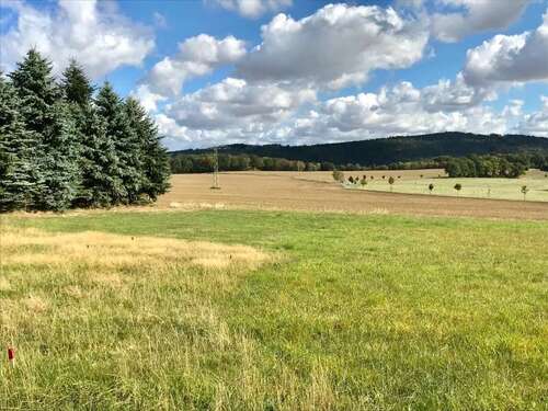 Foto - Grundstück zu verkaufen in Steina 250.000,00 € 2500 m²