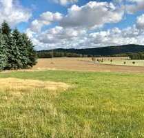 Grundstück zu verkaufen in Steina 250.000,00 € 2500 m²