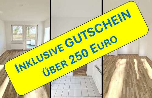 Foto - Wohnung zum Mieten in Chemnitz 255,00 € 41.84 m²