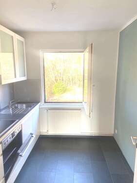 Foto - Wohnung zum Mieten in WalkenriedZorge 460,00 € 55 m²