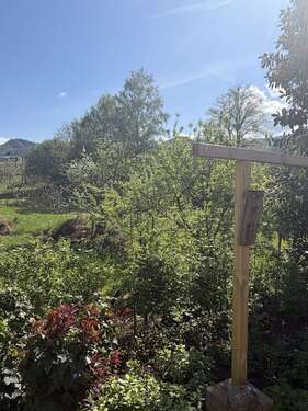 Foto - Haus zum Kaufen in Offenburg 649.000,00 € 190 m²