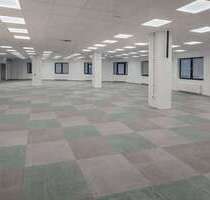 Büro in Wuppertal 3.502,80 € 504 m²