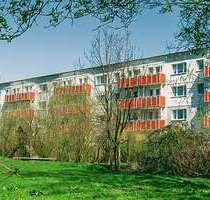 Wohnung zum Mieten in Prenzlau 415,00 € 60.8 m²