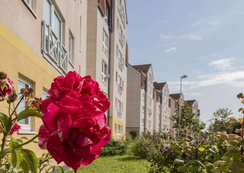 Foto - Wohnung zum Mieten in Pirna 401,94 € 69.3 m²