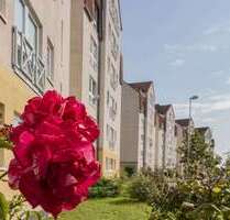 Wohnung zum Mieten in Pirna 401,94 € 69.3 m²