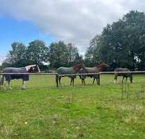 Haus zum Kaufen in Warendorf 1.950.000,00 € 317 m²