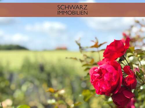 Foto - Haus zum Kaufen in Erwitte 299.900,00 € 171.91 m²