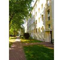 Wohnung zum Mieten in Braunsbedra 357,00 € 59.5 m²